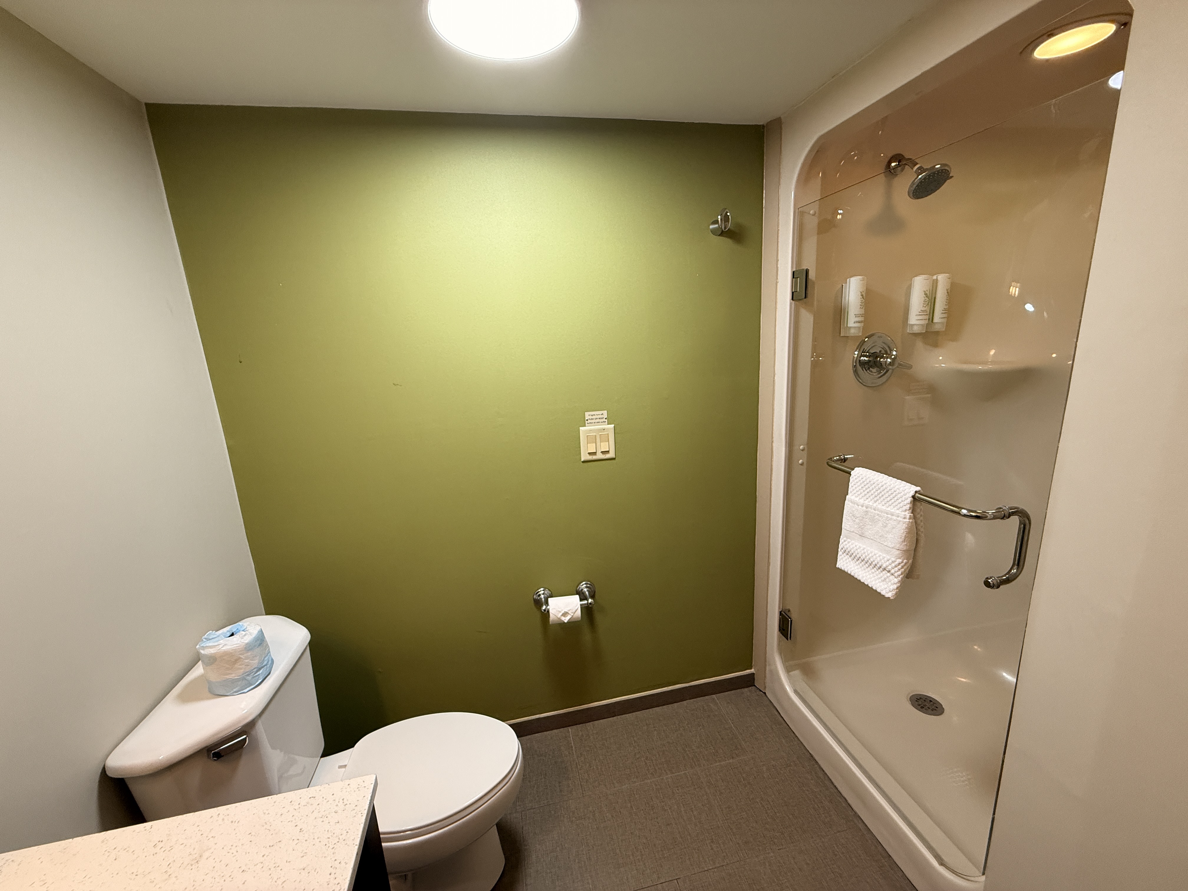 guest-room-bathroom